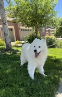 processed/9b5076e6-d2d7-48e0-8737-34c2bb1c3f17/facility/1bc6e5b1-1160-4952-a98d-0a9e0a8296b3