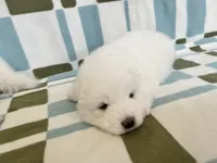 processed/9b5076e6-d2d7-48e0-8737-34c2bb1c3f17/facility/38f99494-e3f1-4c61-a62a-db82a3a6d633