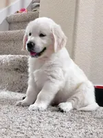 processed/9b5076e6-d2d7-48e0-8737-34c2bb1c3f17/facility/5474b95d-f1b5-4cb4-9d31-4ce2662d2121