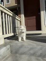 processed/9b5076e6-d2d7-48e0-8737-34c2bb1c3f17/listing/a20a1eef-965e-4def-9dcc-e9ef93eef605/0ad2baa4-04e8-4148-ab91-b430b1f5a8dd