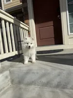 processed/9b5076e6-d2d7-48e0-8737-34c2bb1c3f17/listing/a20a1eef-965e-4def-9dcc-e9ef93eef605/0c644fe2-f87d-4d28-ac46-1e903614feb3