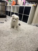 processed/9b5076e6-d2d7-48e0-8737-34c2bb1c3f17/listing/a20a1eef-965e-4def-9dcc-e9ef93eef605/2c38775a-fd6e-4833-9203-d87dfa40e6f8