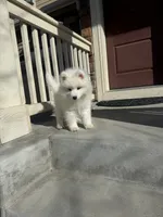 processed/9b5076e6-d2d7-48e0-8737-34c2bb1c3f17/listing/a20a1eef-965e-4def-9dcc-e9ef93eef605/c01c0f19-00e2-4597-ab2b-53376c26c9e0