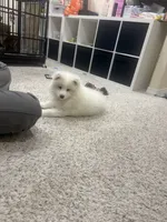 processed/9b5076e6-d2d7-48e0-8737-34c2bb1c3f17/listing/a20a1eef-965e-4def-9dcc-e9ef93eef605/cdcacf8f-0663-46a7-94ab-966091f754dd