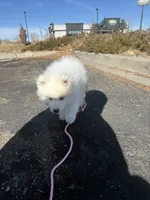 processed/9b5076e6-d2d7-48e0-8737-34c2bb1c3f17/listing/a20a1eef-965e-4def-9dcc-e9ef93eef605/d29e1a6e-6644-40b6-a0a8-1e9d86f4bd8b