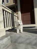 processed/9b5076e6-d2d7-48e0-8737-34c2bb1c3f17/listing/a20a1eef-965e-4def-9dcc-e9ef93eef605/e4c58c51-f8b5-4d0d-83cd-cfd116a323ec