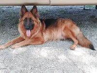 processed/9b5100d8-94ad-4bfa-a26c-684f2ef18eee/listing/8eac582e-ed09-4c02-b423-5caebbcd6bba/afd4917a-43c5-4a98-b3f6-4f99c383dfb7