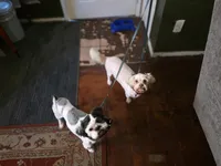 processed/9b532e20-e81f-4b98-9d27-5fed72d89753/facility/500c9ce6-a717-4de4-a947-db9e51666c7d