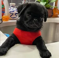 processed/9b532e20-e81f-4b98-9d27-5fed72d89753/facility/ccfcbcd7-77b6-43c9-982b-ec5987bdc4f5