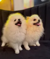 processed/9b532e20-e81f-4b98-9d27-5fed72d89753/facility/ee7ae5bd-9b5e-4e12-b345-cce551cb755f