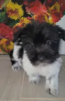 processed/9b532e20-e81f-4b98-9d27-5fed72d89753/listing/16a1ddd2-fae9-48b5-97d3-c1ee47b18d83/c4b326a8-3f2a-4cdf-b43c-a9de5361d1df