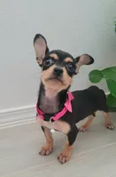 processed/9b532e20-e81f-4b98-9d27-5fed72d89753/listing/ce6c0d7a-6008-4b93-84a8-36ef55793bfb/2a9ec33d-ecb4-4a8e-8bf6-dc9bf90f20ef