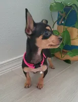 processed/9b532e20-e81f-4b98-9d27-5fed72d89753/listing/ce6c0d7a-6008-4b93-84a8-36ef55793bfb/37e1c532-23e4-436d-b347-4e95b6d3fb0a