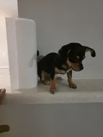 processed/9b532e20-e81f-4b98-9d27-5fed72d89753/listing/ce6c0d7a-6008-4b93-84a8-36ef55793bfb/a611c403-d375-46e7-bef4-dc63ff0991b5