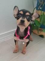 processed/9b532e20-e81f-4b98-9d27-5fed72d89753/listing/ce6c0d7a-6008-4b93-84a8-36ef55793bfb/ea6dea6f-da62-4d18-8a93-88447b19e166