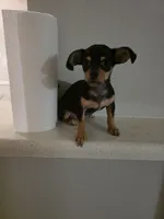 processed/9b532e20-e81f-4b98-9d27-5fed72d89753/listing/ce6c0d7a-6008-4b93-84a8-36ef55793bfb/ef0f3721-1219-4d43-9100-689ee75f6cb1