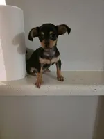 processed/9b532e20-e81f-4b98-9d27-5fed72d89753/listing/ce6c0d7a-6008-4b93-84a8-36ef55793bfb/fa2950d5-3499-457d-8e37-9945aa914ba0