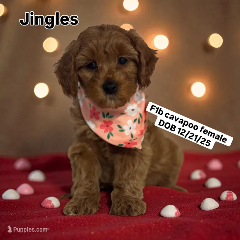 Jingles