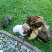 processed/9b5b13fa-4b3a-4dd4-8673-c652b17cad26/facility/4dbe2059-2d03-470c-a34e-29232ac43cb4