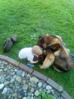 processed/9b5b13fa-4b3a-4dd4-8673-c652b17cad26/facility/4dbe2059-2d03-470c-a34e-29232ac43cb4