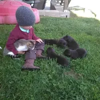 processed/9b5b13fa-4b3a-4dd4-8673-c652b17cad26/facility/6ff05a61-e60f-4d00-8a40-769461e41155