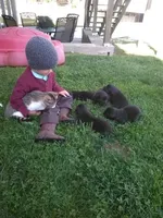 processed/9b5b13fa-4b3a-4dd4-8673-c652b17cad26/facility/6ff05a61-e60f-4d00-8a40-769461e41155