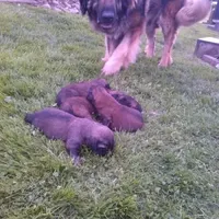 processed/9b5b13fa-4b3a-4dd4-8673-c652b17cad26/facility/7252413e-b3d0-4568-9b7a-8e3664244d84