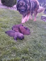 processed/9b5b13fa-4b3a-4dd4-8673-c652b17cad26/facility/7252413e-b3d0-4568-9b7a-8e3664244d84