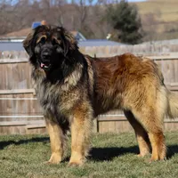 processed/9b5b13fa-4b3a-4dd4-8673-c652b17cad26/facility/a15dc1fd-e9a4-4755-86fd-ebe51f58cf96