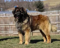 processed/9b5b13fa-4b3a-4dd4-8673-c652b17cad26/facility/a15dc1fd-e9a4-4755-86fd-ebe51f58cf96