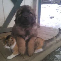 processed/9b5b13fa-4b3a-4dd4-8673-c652b17cad26/facility/fd2cabc2-936e-4547-89fd-63b20cc7340a