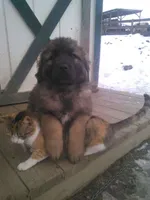 processed/9b5b13fa-4b3a-4dd4-8673-c652b17cad26/facility/fd2cabc2-936e-4547-89fd-63b20cc7340a