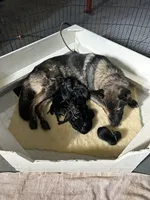 processed/9b5f0c82-4477-4152-9b7e-5b4fd26f80c8/facility/18fe1e04-932d-4e86-a471-53c89c31ace5