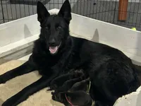 processed/9b5f0c82-4477-4152-9b7e-5b4fd26f80c8/facility/2cb1fe21-0bf7-46e4-875f-64aaf0b81fed