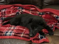 processed/9b5f0c82-4477-4152-9b7e-5b4fd26f80c8/listing/26e04e4f-dc66-4d1f-8e6f-d8cf1147f687/0f8ff6be-3cb0-4dc0-bfab-a9ce9f64fe2d