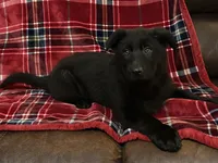 processed/9b5f0c82-4477-4152-9b7e-5b4fd26f80c8/listing/26e04e4f-dc66-4d1f-8e6f-d8cf1147f687/248a9202-2f62-4661-9271-e7051f265246