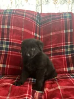 processed/9b5f0c82-4477-4152-9b7e-5b4fd26f80c8/listing/26e04e4f-dc66-4d1f-8e6f-d8cf1147f687/55bb36d9-c43c-45f1-a6aa-b440b4caf2bf