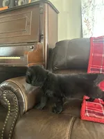 processed/9b5f0c82-4477-4152-9b7e-5b4fd26f80c8/listing/26e04e4f-dc66-4d1f-8e6f-d8cf1147f687/8e00545a-3b26-4a10-bfa2-0779074ddc95