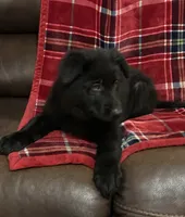 processed/9b5f0c82-4477-4152-9b7e-5b4fd26f80c8/listing/26e04e4f-dc66-4d1f-8e6f-d8cf1147f687/bb05d2ba-726e-4881-b533-dbb4a507508a