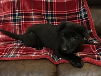 processed/9b5f0c82-4477-4152-9b7e-5b4fd26f80c8/listing/26e04e4f-dc66-4d1f-8e6f-d8cf1147f687/ccf3c91a-86a7-4052-9b82-6bf0242cedf7