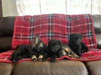 processed/9b5f0c82-4477-4152-9b7e-5b4fd26f80c8/listing/26e04e4f-dc66-4d1f-8e6f-d8cf1147f687/d0605c7d-d21b-49f0-815a-48b60af76ec6