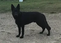 processed/9b5f0c82-4477-4152-9b7e-5b4fd26f80c8/listing/26e04e4f-dc66-4d1f-8e6f-d8cf1147f687/eca2ce72-c072-426c-9d48-e6307f47e600