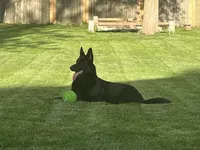 processed/9b5f0c82-4477-4152-9b7e-5b4fd26f80c8/listing/26e04e4f-dc66-4d1f-8e6f-d8cf1147f687/fee774b5-7687-4e0a-92c9-f0243b64dd41