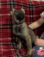 processed/9b5f0c82-4477-4152-9b7e-5b4fd26f80c8/listing/a742e184-47ca-4c9c-aa01-ac68c3fb4ab9/0e6edc77-cf77-4e79-a72d-1371595f92cd