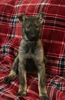 processed/9b5f0c82-4477-4152-9b7e-5b4fd26f80c8/listing/a742e184-47ca-4c9c-aa01-ac68c3fb4ab9/341494d1-3f46-4f2b-ad86-c927e2d5df3f