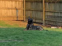 processed/9b5f0c82-4477-4152-9b7e-5b4fd26f80c8/listing/a742e184-47ca-4c9c-aa01-ac68c3fb4ab9/34fc415f-8390-44a8-9811-a28cdc30893d