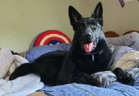 processed/9b5f0c82-4477-4152-9b7e-5b4fd26f80c8/listing/a742e184-47ca-4c9c-aa01-ac68c3fb4ab9/60de81b2-db82-43b3-aaaf-1488f532e06e