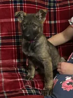 processed/9b5f0c82-4477-4152-9b7e-5b4fd26f80c8/listing/a742e184-47ca-4c9c-aa01-ac68c3fb4ab9/cdc21c1b-91f4-4038-885d-69495f00d417