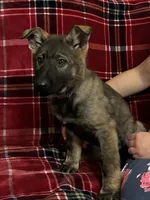 processed/9b5f0c82-4477-4152-9b7e-5b4fd26f80c8/listing/a742e184-47ca-4c9c-aa01-ac68c3fb4ab9/d39941bd-d4e8-43a6-9a59-b36697cf91d8