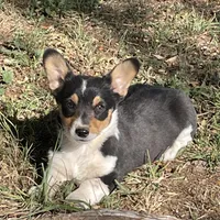 processed/9b60cb87-a040-49aa-b360-c9a449b1f5c4/facility/068d1637-9b10-4e05-99be-1d240616929b